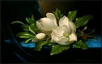 unknow artist Still life floral, all kinds of reality flowers oil painting  65 oil painting image